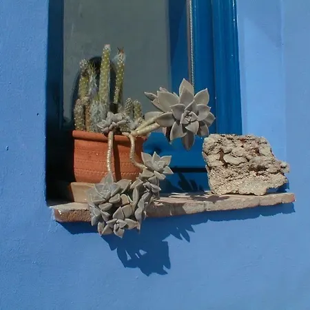 Casa Camaleon 게스트하우스