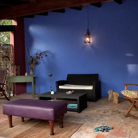 בית הארחה Casa Camaleon *